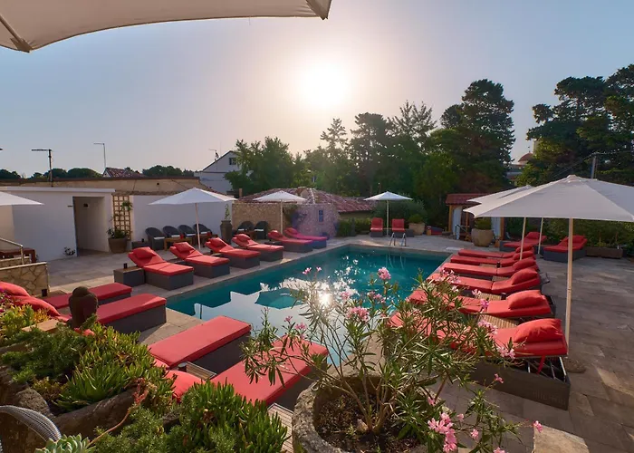 Dolphin Suites
