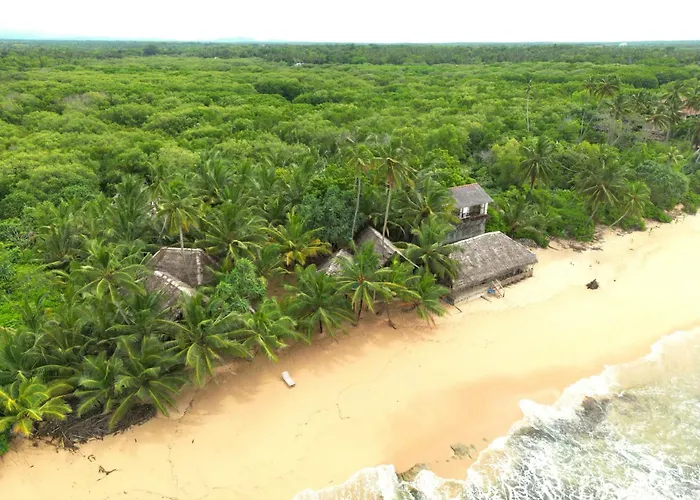 The Alpha Monkey Hotel & Tree House
