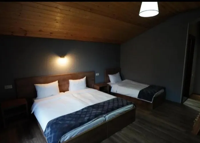 Kazbegi 4U