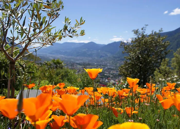 Marini'S Giardino Hotel