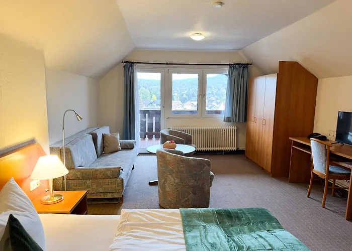 Harzhotel Grünett