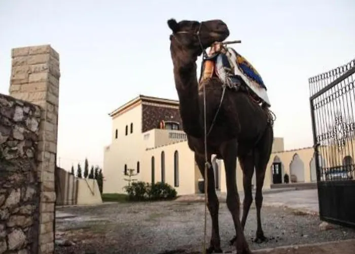 Sidi Kaouki Ayt Karoum