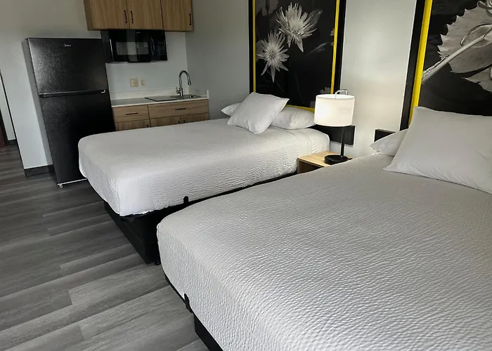 Super 8 By Wyndham Alexandria La