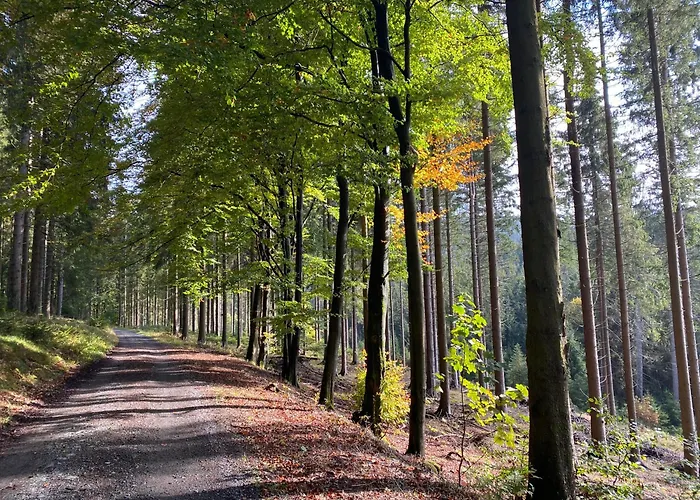 Der Schoene Asten - Resort Winterberg
