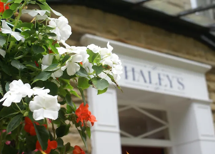 Haley'S Hotel