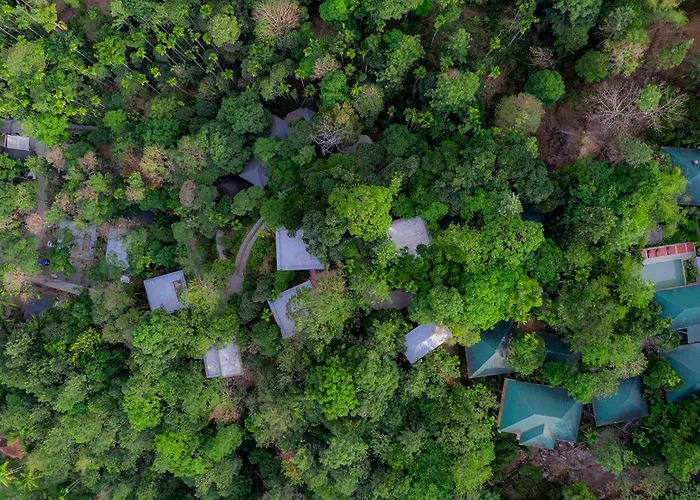The Hive Wayanad