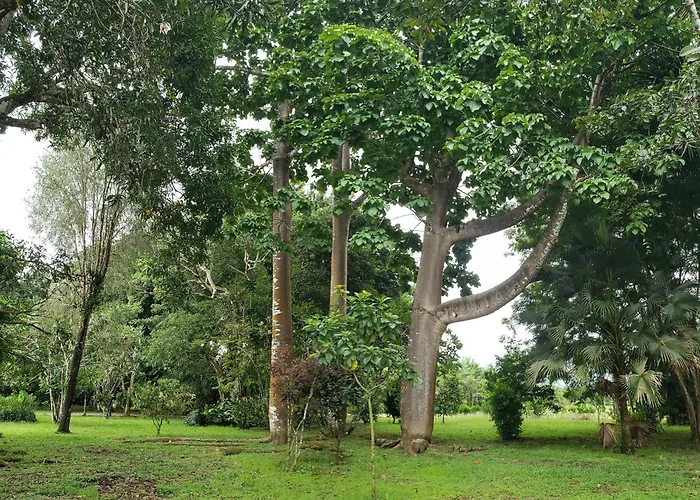 Hotel Veragua River House