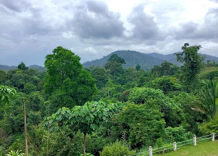 D View Hill Hotel