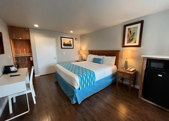 Alamo Inn And Suites - Convention Center