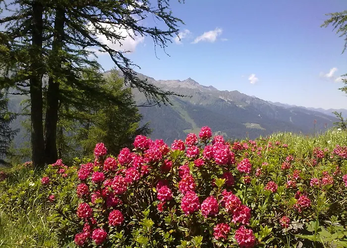 Hotel Alpina