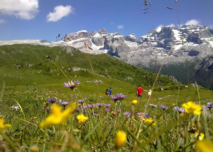 Hotel Alpina
