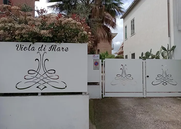 Viola di Mare