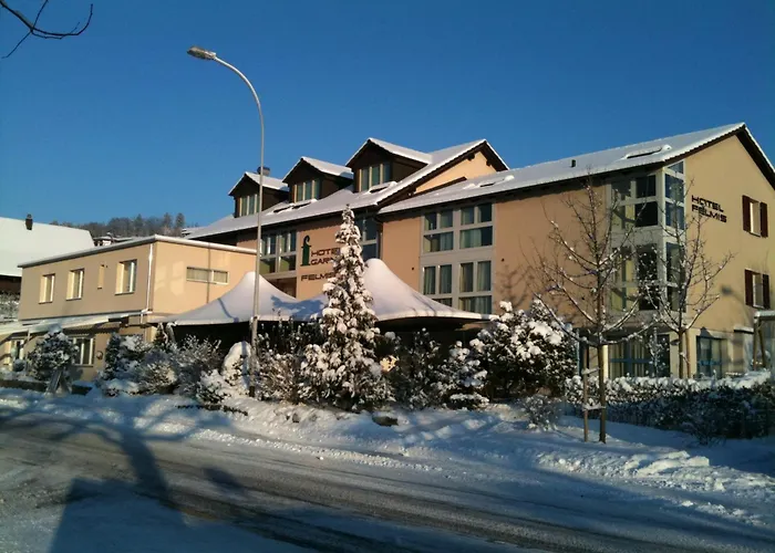 Hotel Felmis Horw