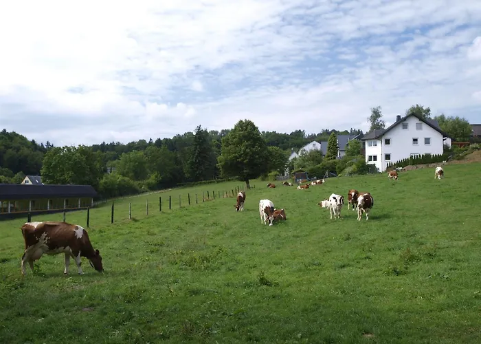 Landhotel Henkenhof Willingen