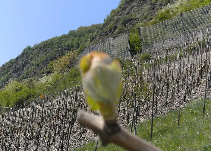 Weinhotel Hubertus Garni