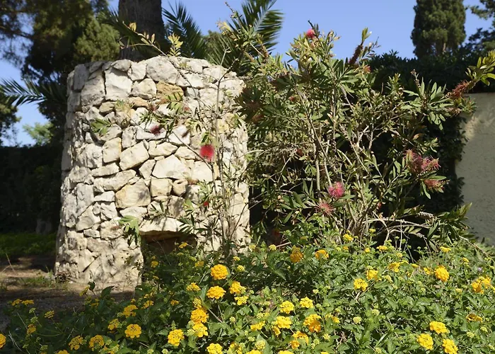 Hotel Oasis