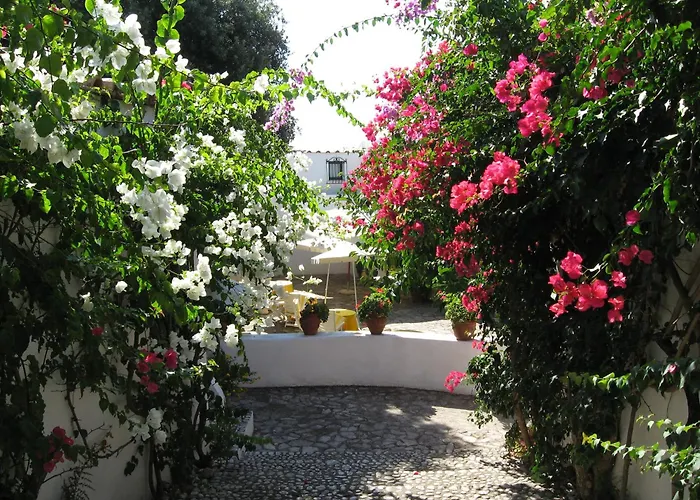 Hotel Punta Rossa San Felice Circeo