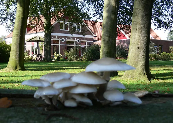 Boutique Hotel Nieuw Beusink