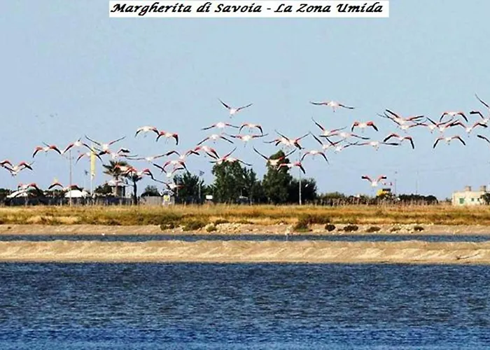 Hotel Tenuta San Francesco