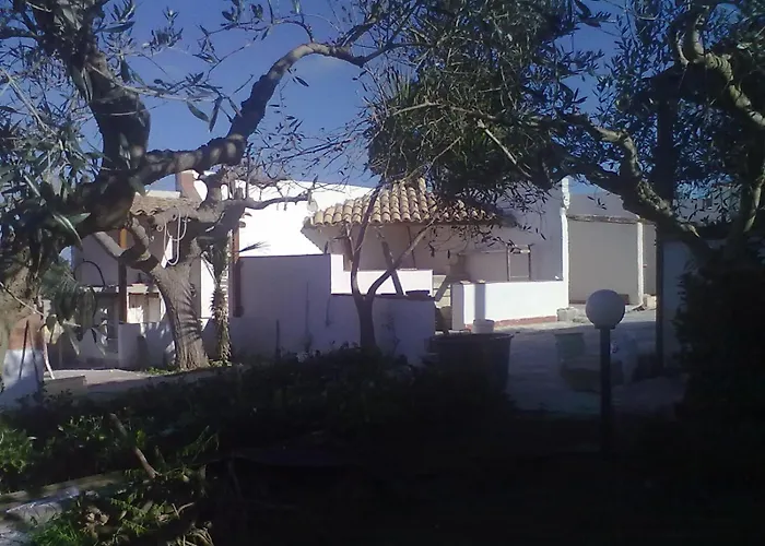 B&B Pacheco Paceco