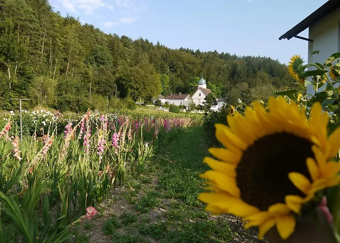 Hotel&Gasthof Zur Linde