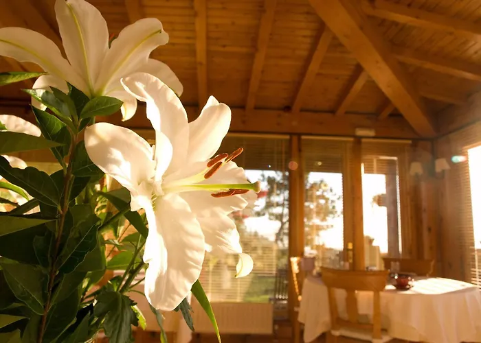 Hotel Casa Camila