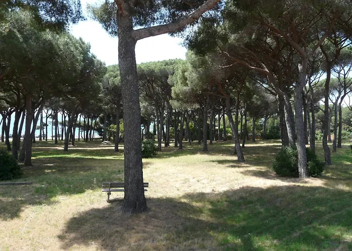 La Casa Mia