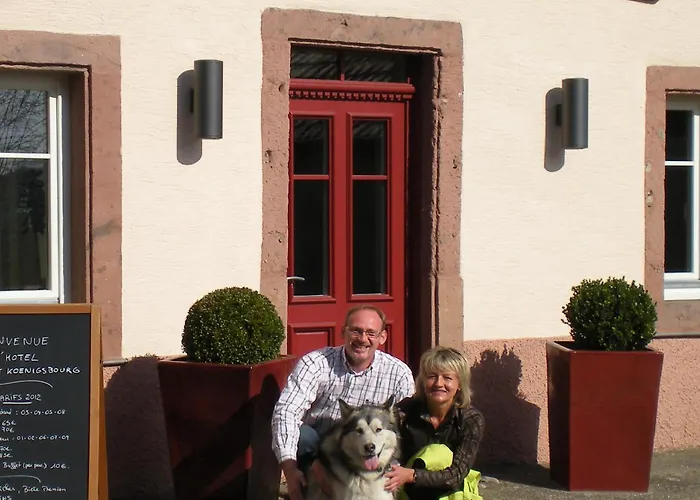 Hotel Du Haut Koenigsbourg- Entre Vignes Et Chateau