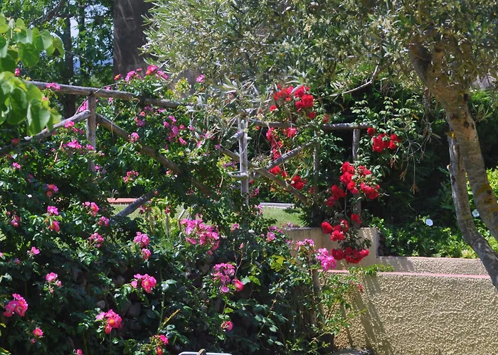 Hotel Tirrena Bike & Country Hotel
