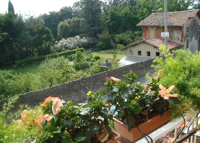 Hotel Orchidea