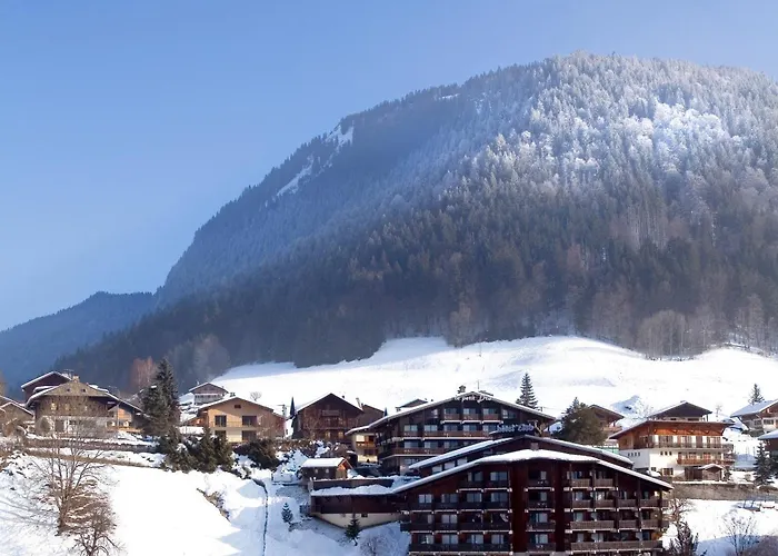 Hotel Le Petit Dru
