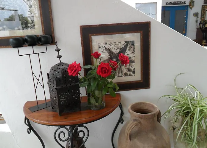 Hotel O Palmo