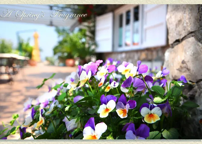 Villa Ketty Resort Vico Equense
