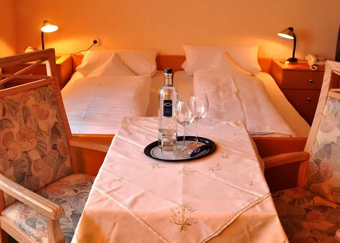 Hotel Schick