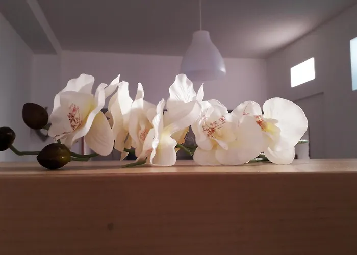 Sadinahome Setúbal