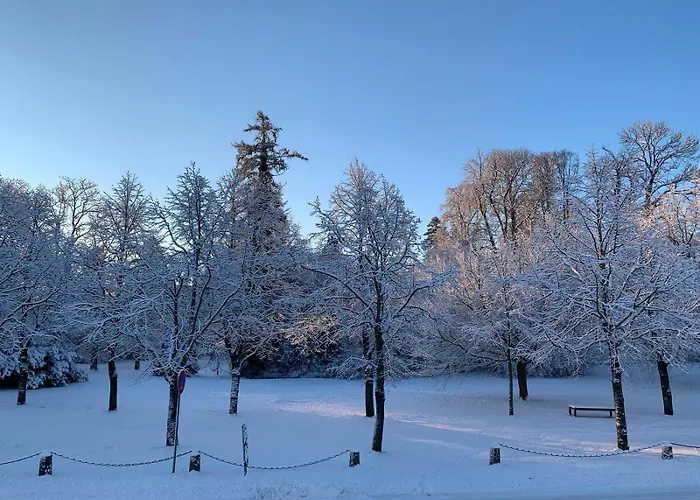 Hotel Am Schlosspark Superior (Adults Only)