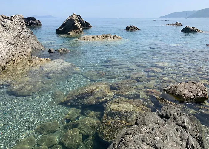 Il Fiore Bianco