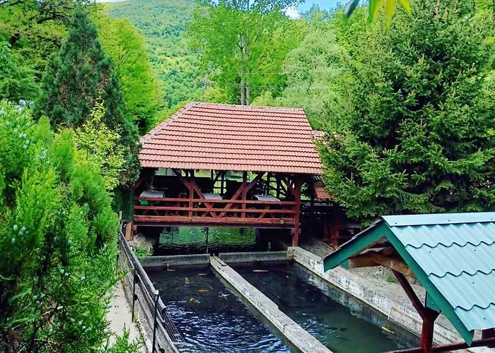 Zubor Vrela
