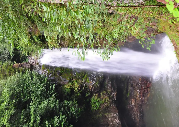 Ayder Hasimoglu Hotel
