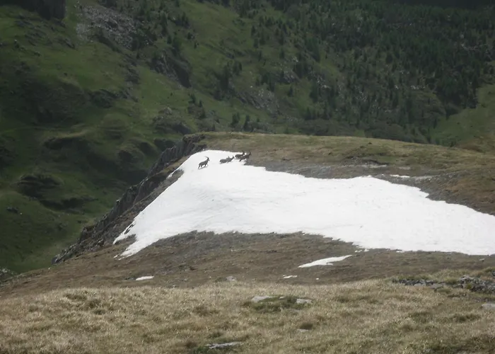 Hotel Pensione Dolomiti