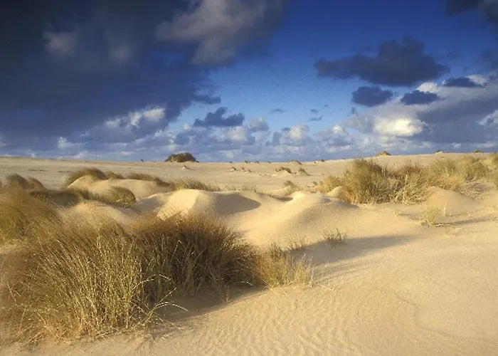 Ara Dune Hotel