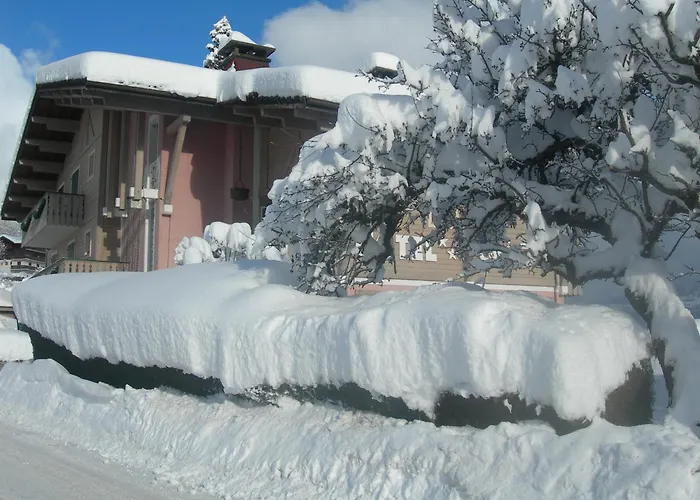 Le Cordonant
