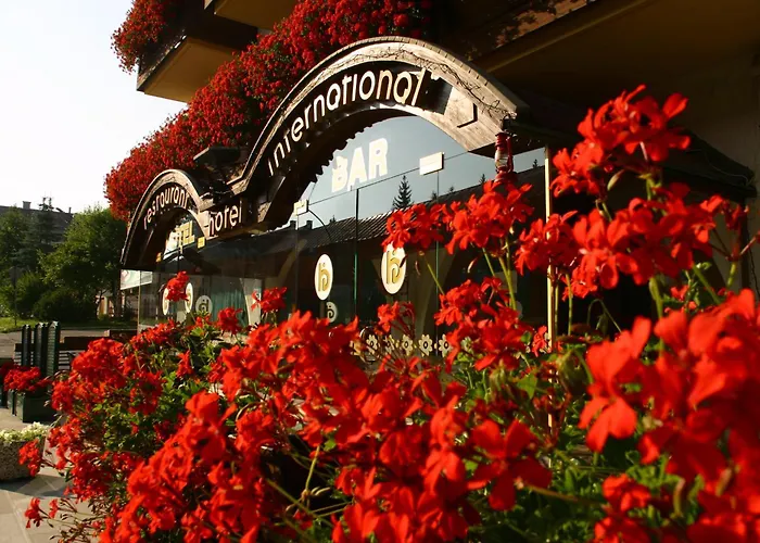 Hotel International