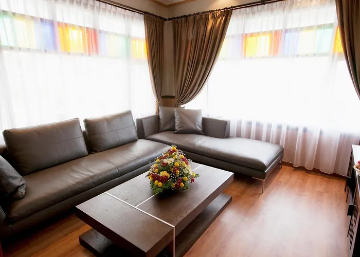 Hotel Sibayak Internasional