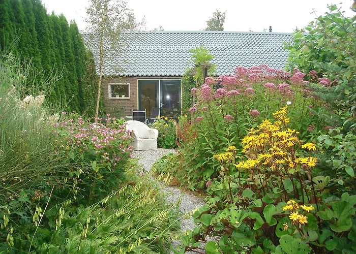Roing B&B Hijken