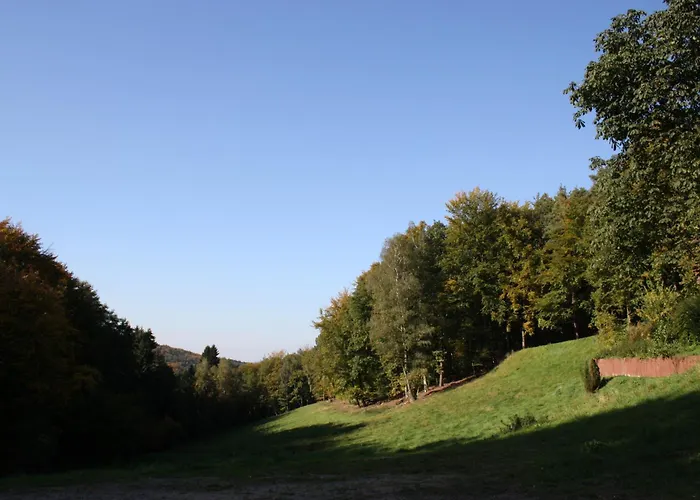 Wald-Hotel Heppe