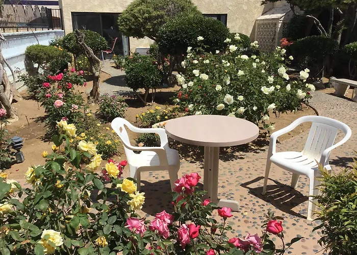 Americas Best Value Inn And Suites -Yucca Valley