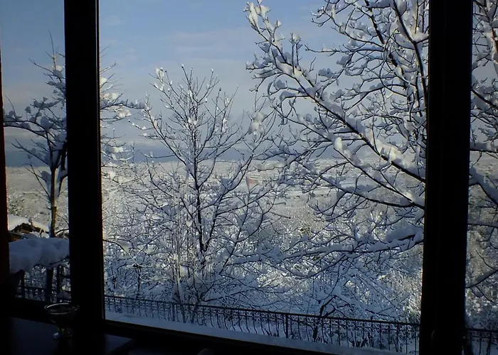 Sapanca Dilek Konagi Hotel