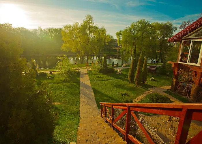 Zdybanka