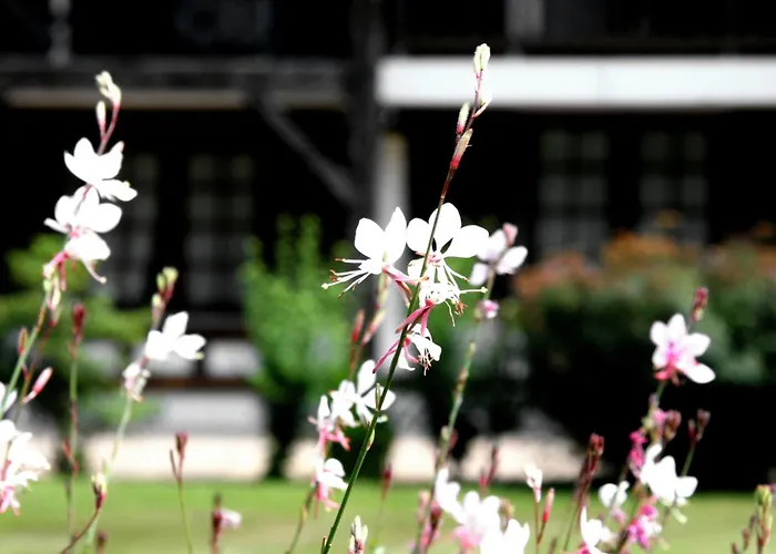 Auberge des Pins